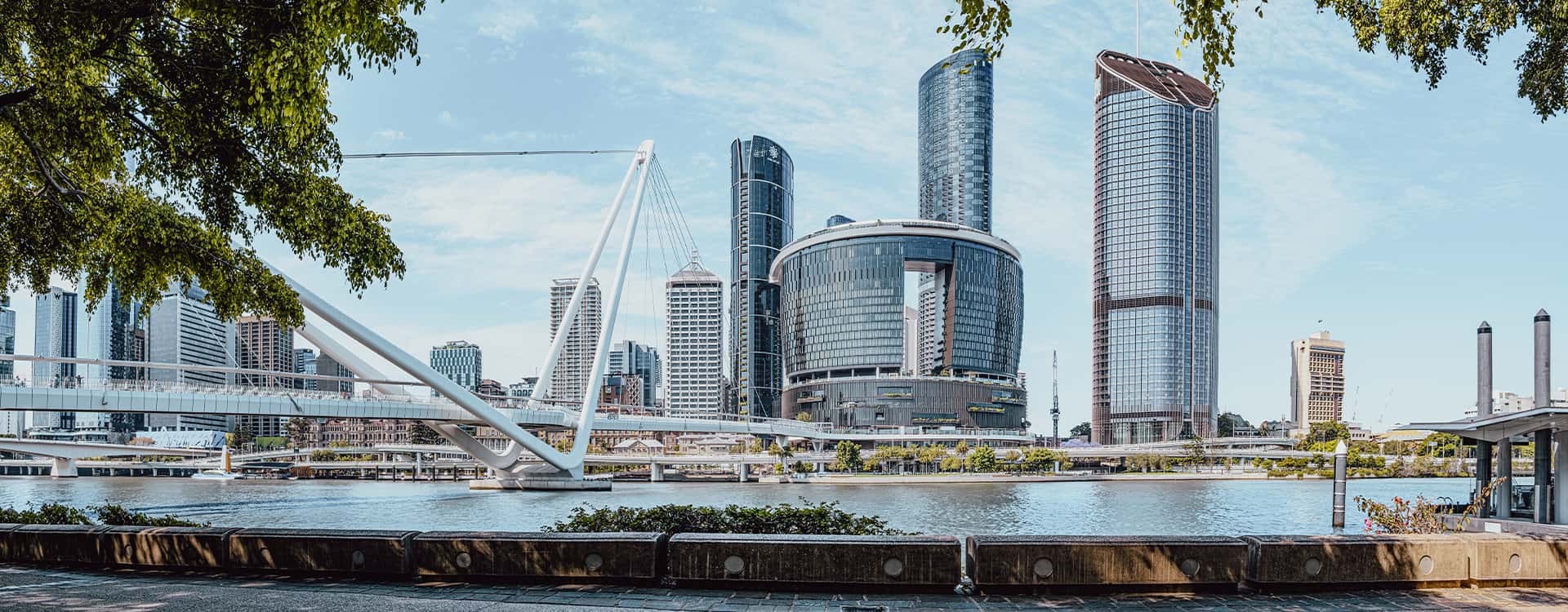 Banner Content Background