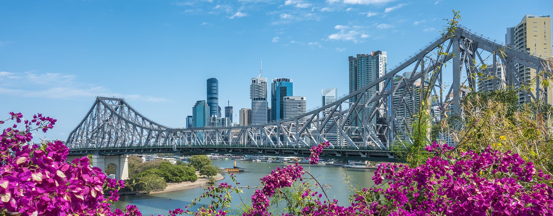 Banner Content Background